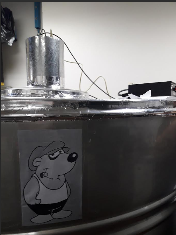 LAMP Pucho LAMP